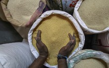 “Ngũ cốc của người nghèo” nay đã lên thực đơn được gắn sao Michelin: Trở thành cái tên vàng của năm 2023, các công ty lớn đổ xô vào tìm cách chế biến