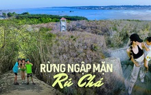 "Đổi màu" giữa mùa hè, khu rừng ngập mặn duy nhất ở Huế trở thành điểm đến của các gia đình
