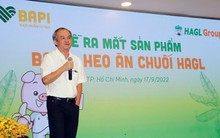 Giá heo “tìm đường” về đỉnh cũ, Hoàng Anh Gia Lai tái khởi động kế hoạch chào bán cổ phiếu riêng lẻ đã thất bại năm ngoái?