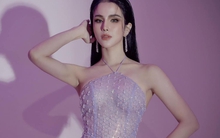 Diệp Lâm Anh lên tiếng về thông tin đòi 100 tỷ đồng khi ly hôn: Tôi ghét việc phải đi ra tay trắng