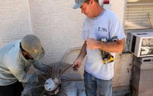 Điều hòa đang "rút cạn" túi tiền của người Mỹ giữa trời nắng nóng: Không có thì đúng là cực hình!