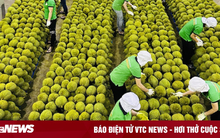 6 mặt hàng nông sản xuất khẩu chủ lực nửa cuối năm 2023, kỳ vọng hút tỷ USD