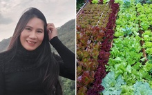 Kế toán trưởng có vườn rau xịn: Tay thon mềm thành chai sạn, hơi ngại khi gặp đối tác