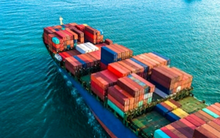 Khẩn trương ngăn chặn 1 container hoa hồi đang vận chuyển đến địa điểm lừa đảo tại Dubai