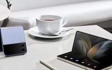 Giữa lúc thị trường smartphone toàn cầu ảm đạm, đây chính là điểm sáng duy nhất