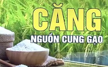 Ấn Độ cấm xuất khẩu gạo: Thị trường lương thực thế giới tiếp tục đón cú sốc