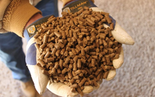 Nhập khẩu một mặt hàng quan trọng từ Ấn Độ tăng mạnh 111% trong nửa đầu năm - là mặt hàng sản lượng của Ấn Độ gần gấp đôi so với Việt Nam