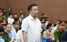 Vụ "Chuyến bay giải cứu": Một tập thể giáo viên viết đơn xin giảm án cho cựu phó chủ tịch Hà Nội