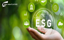 96% người tiêu dùng sẵn sàng chi trả nhiều hơn cho các sản phẩm chú ý đến phát triển bền vững