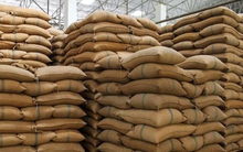 Vì sao lệnh cấm xuất khẩu gạo của Ấn Độ có thể làm chao đảo an ninh lương thực toàn cầu?