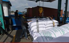 Xuất khẩu gạo thu về gần 2,4 tỷ USD