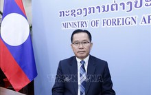 Việt Nam có nhiều đóng góp quan trọng vào sự phát triển của ASEAN