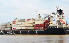 Từ "siêu cổ phiếu" thời dịch, Vosco quay về vạch xuất phát: Lãi quý 2/2023 giảm 99% còn vỏn vẹn 1 tỷ