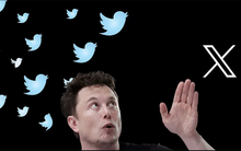 Mặc cả thế giới cười nhạo, Elon Musk đang dùng Twitter để thực hiện sứ mệnh lịch sử mà cả Google lẫn Facebook đều đã thất bại