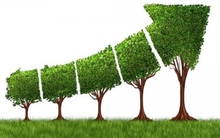 Kế hoạch hành động của ngành Ngân hàng thực hiện Chiến lược quốc gia về tăng trưởng xanh giai đoạn 2021-2030