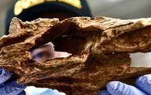 'Gỗ của các vị thần' xuất hiện khắp Việt Nam: Chất lượng số 1 thế giới, giới thượng lưu nước ngoài đổ xô săn lùng