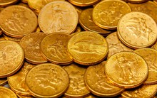 Dắt chó đi dạo, cặp đôi nhặt được xô tiền vàng ngay trong vườn, chuyên gia ập đến nghiên cứu hé lộ về khó báu trị giá 236 tỷ đồng từ hơn 300 năm trước