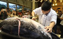 Mở cửa cho loạt mặt hàng vào các thị trường tỷ USD