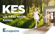 KES và tầm nhìn xanh: Mang thiên nhiên vào không gian sống qua từng mét gỗ công nghiệp