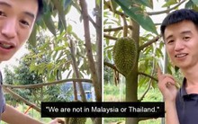 Sầu riêng 'nhà trồng' của Trung Quốc bắt đầu đến vụ nhưng giá gấp 3 hàng nhập khẩu từ Việt Nam - Chuyên gia chốt luôn: 'chưa thể cạnh tranh'