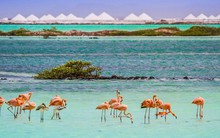 Hòn đảo 'bí mật của thế giới' mang sức hút kỳ lạ khiến khách du lịch xiêu lòng ngay lần đầu đặt chân đến