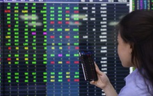 Chính thức giảm 36 khoản phí, lệ phí cho người dân, doanh nghiệp