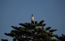 Công ty "họ Apec" giải trình cổ phiếu giảm sàn liên tiếp, mất gần 50% thị giá sau vài phiên