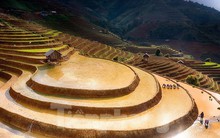 Ngắm nhìn ruộng bậc thang Mù Cang Chải mùa nước đổ