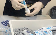 TP Hồ Chí Minh ban hành kế hoạch khẩn sau vụ tiếp viên hàng không vận chuyển ma tuý