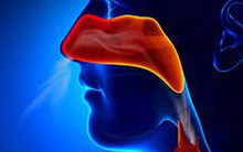 Mũi cũng có thể bị ung thư: Hãy cảnh giác với 5 dấu hiệu này