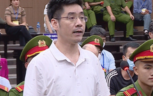 Vụ "Chuyến bay giải cứu": Vì sao cựu điều tra viên, cựu nữ cục trưởng bị tuyên án cao hơn đề nghị?