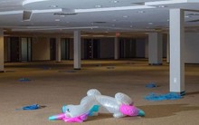 Bữa tiệc tàn của startup kỳ lân: Suốt nửa năm chỉ có 7 công ty được thành lập, thung lũng Silicon không còn là ‘miền đất hứa’