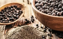 Loại gia vị được gọi là "vàng đen" vừa dùng để nấu ăn vừa có tác dụng như thảo dược chữa bệnh