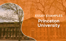 Bài luận 500 từ chinh phục Đại học Princeton: 'Sau vài ngày lục tung Google, tôi hoàn toàn bị đánh gục'