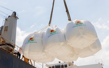 Đánh giá lại tài sản, Lộc Trời (LTG) báo lãi kỷ lục 426 tỷ đồng trong quý 2