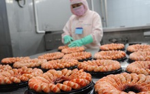 Doanh nghiệp thủy sản đối diện thách thức chưa từng có