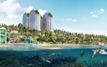 Động thái mới đối với trái phiếu của IDJ sau biến cố của dàn lãnh đạo APEC Group