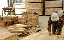 6 tháng, Việt Nam xuất khẩu trên 6,4 tỷ USD hàng lâm sản