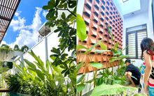 Vợ chồng gom tiền 5 năm xây nhà rộng 210m2, góc nào cũng có cây xanh