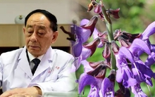 Không có gen trường thọ, vị bác sĩ vẫn sống khỏe mạnh ở tuổi 81 nhờ duy trì một bí quyết