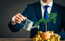 3 khoản đầu tư không bao giờ sợ lỗ, lợi nhuận nhận về x5, x10 là bình thường