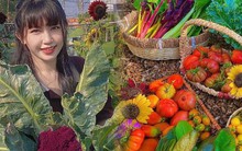 Mê mẩn vườn rau 180m2 ở TP.HCM: Khi vườn không chỉ là nơi bước ra để tìm đồ ăn