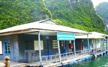 Làng chài thuộc top đẹp nhất thế giới ở vịnh Hạ Long đang 'chìm' dần