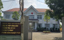 Cách chức Trưởng Phòng Tư pháp vì... ăn trộm cây hoa giấy