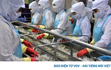 Đại biểu HĐND tỉnh Cà Mau “truy” nguyên nhân tụt 26 bậc chỉ số PCI