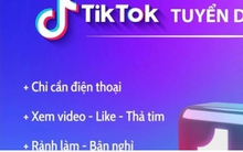 Mất gần 700 triệu đồng vì tin lời quảng cáo “lướt Tiktok, kiếm thu nhập"