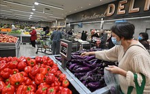 FAO: Giá lương thực thế giới tiếp tục giảm trong tháng 6