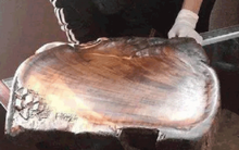 Chàng trai mang thớt cũ đi thẩm định, chuyên gia giật mình: Ngửi mùi là biết vật này vô giá!