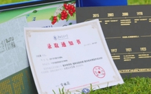 Loạt giấy báo nhập học độc - lạ của các ngôi trường "nhà người ta", đẹp đến độ chẳng muốn mở ra