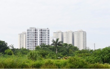 Công viên gần 100 ha ở Hà Nội biến thành bãi trồng rau, tập kết rác thải